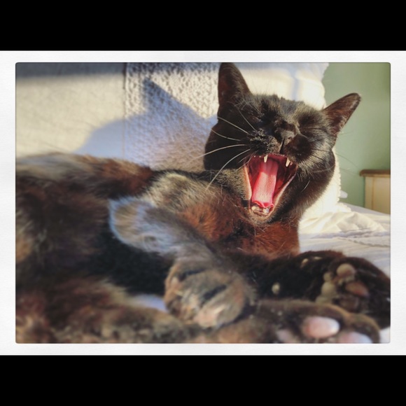 Meet the Posher - Picture 6 of 8